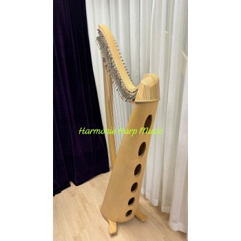SOLD - 2nd Hand Salvi Titan 38 Strings Lever Harp SOLD - 2nd Hand Salvi Titan 38 Strings Lever Harp